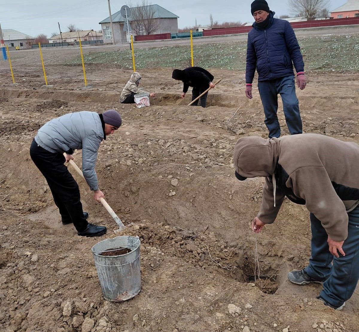 «Таза Қазақстан» акциясы аясында ағаш отырғызу жұмыстары жүргізілді